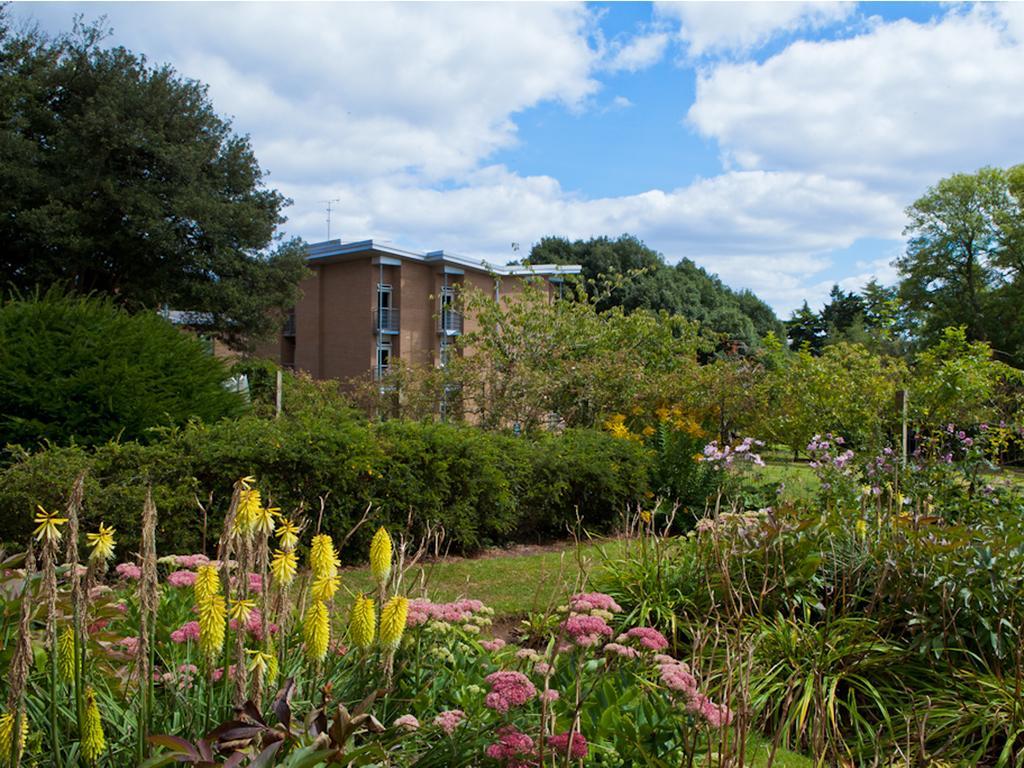 University Of Exeter - Pennsylvania Court Exterior foto